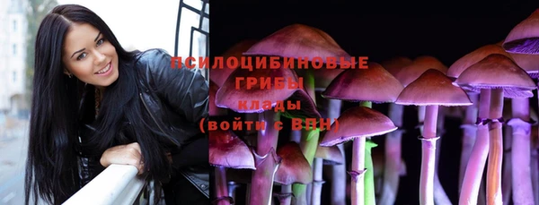 apvp Каменск-Шахтинский
