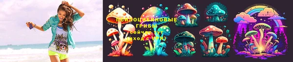 apvp Каменск-Шахтинский