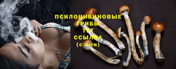 гашишное масло Каменка