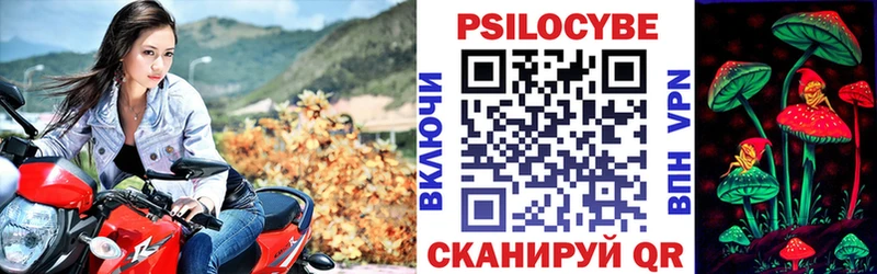 Купить  Чулым  Псилоцибиновые грибы мухоморы 